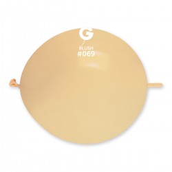 #069 Blush  Standard Color 13 in