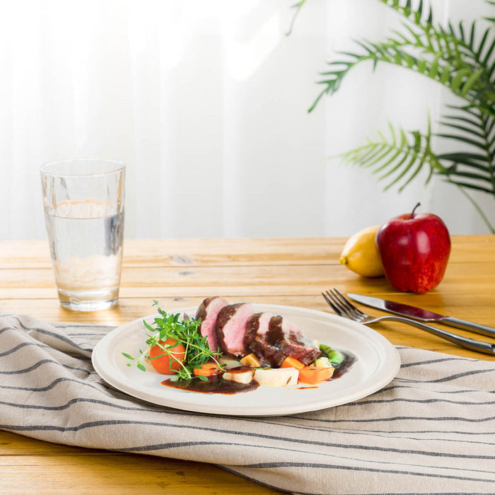 9 inch Natural Compostable & Disposable Sugarcane Plates, 300 Pack