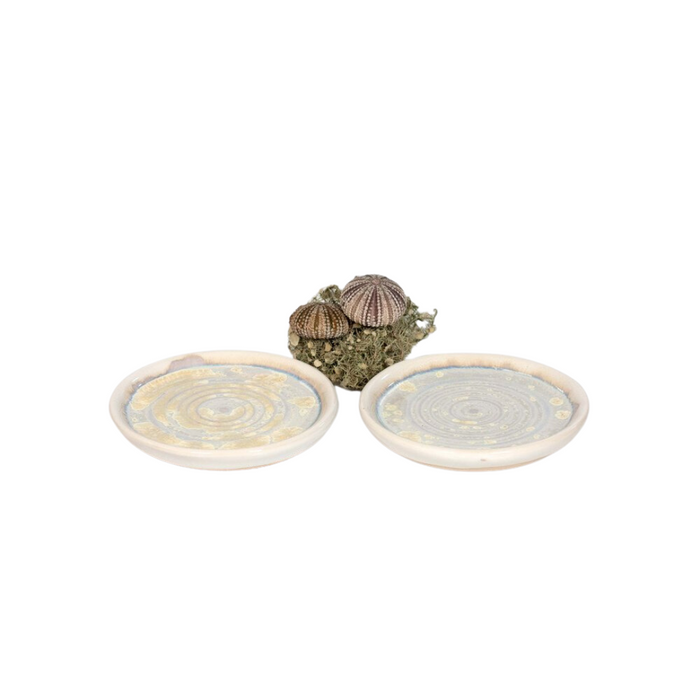 Ae ceramics oysters