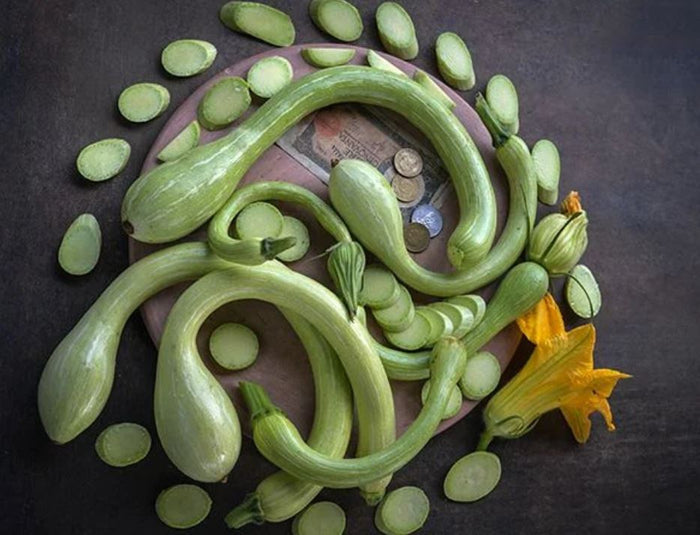 EDIBLE GOURD 'Cucuzzi Caravazzi'