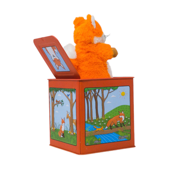 Finn the Fox in the Box