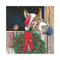 Friends with Donkey Napkin Ckt