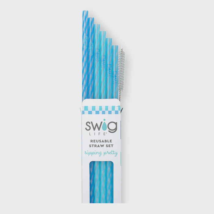 Glacier Stripe Reusable Straw 6 Straws/Cleaning Brush