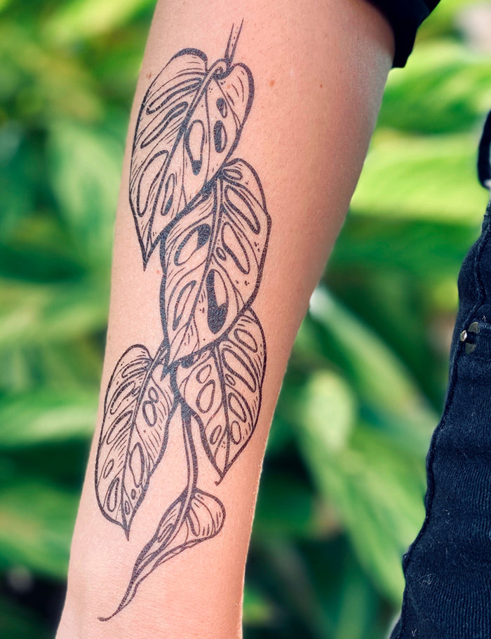 Monstera Vine Temporary Tattoo