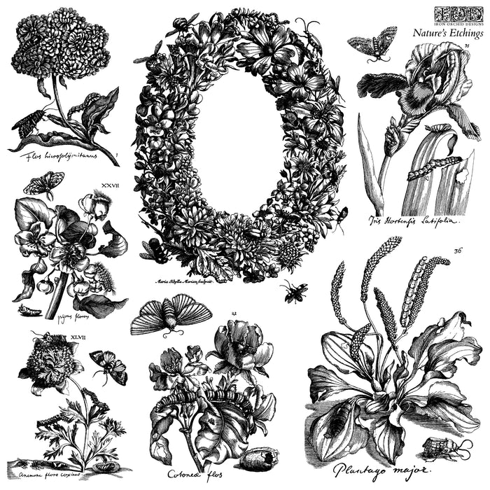 Nature’s Etchings
IOD Stamp | 12” x 12” | Double Sheet with Masks