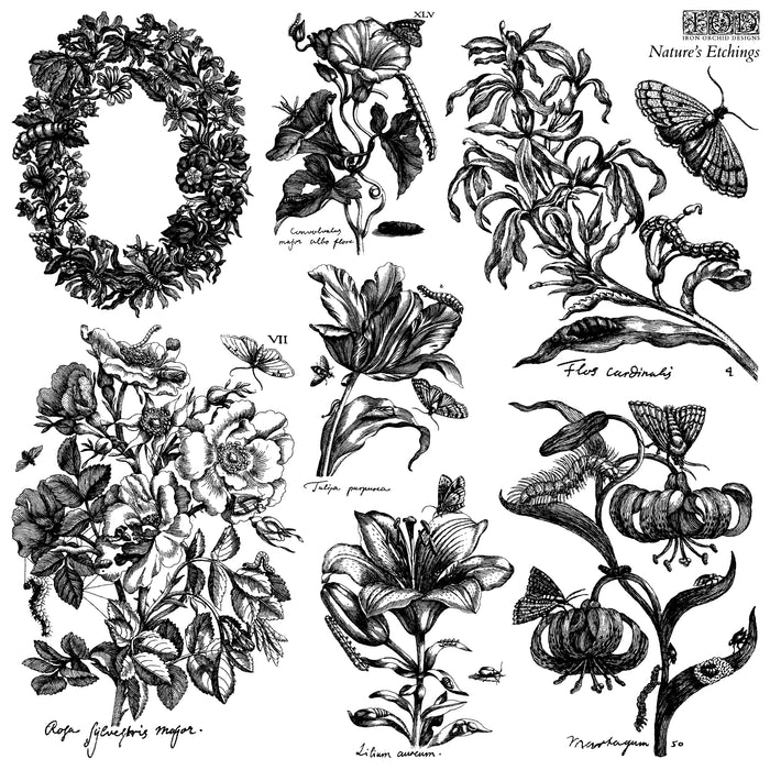 Nature’s Etchings
IOD Stamp | 12” x 12” | Double Sheet with Masks