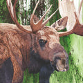 Paperproduct Designs Lunch Napkins: Evergreen Moose