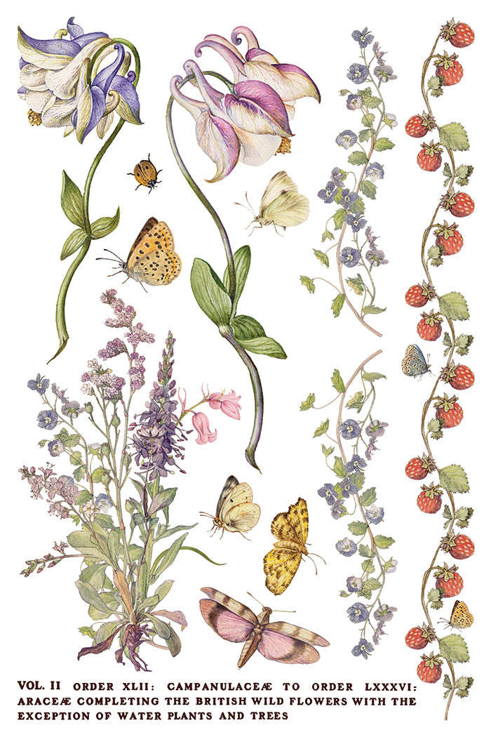 Primrose Isle
IOD Transfer | 8 Pages | 8” x 12” | Full Color