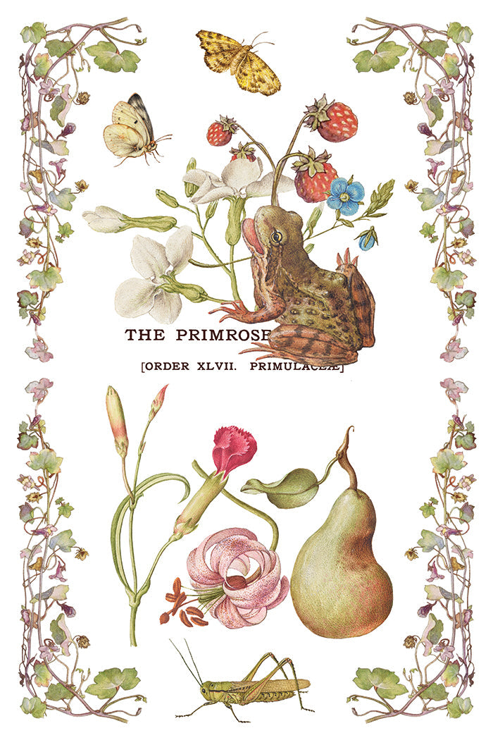Primrose Isle
IOD Transfer | 8 Pages | 8” x 12” | Full Color