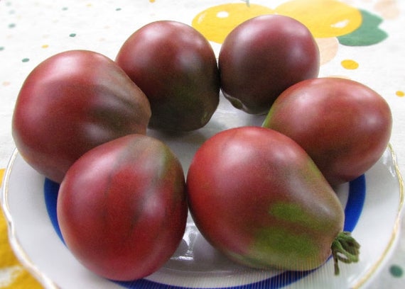 TOMATO 'Wine Jug'