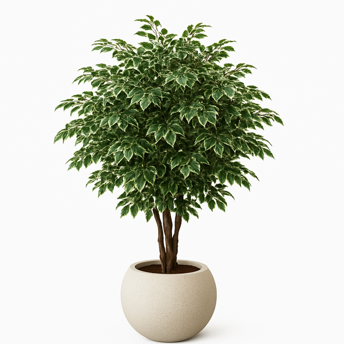 Artificial Ficus Tree