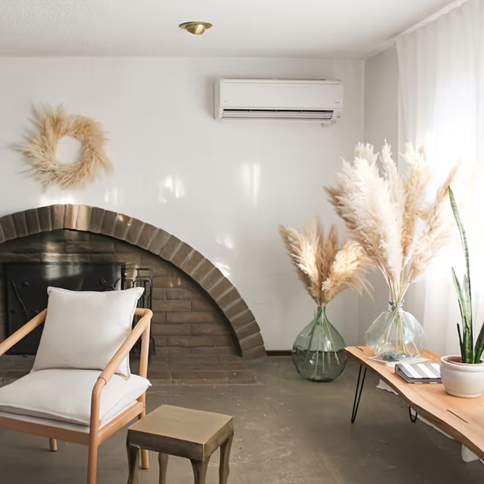Boho Style Dried Pampas Grass