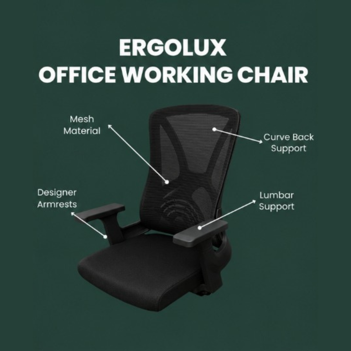 Ergolux Mesh Office Chair