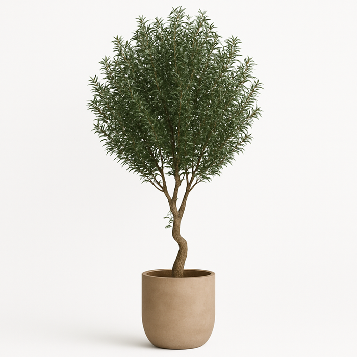 Luxury Artificial Olive Plant