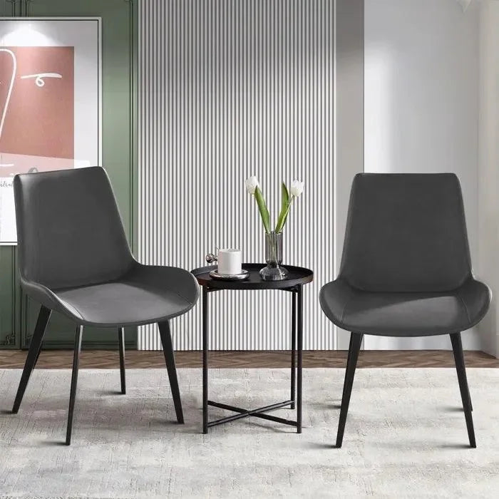 Modern Dining Chairs