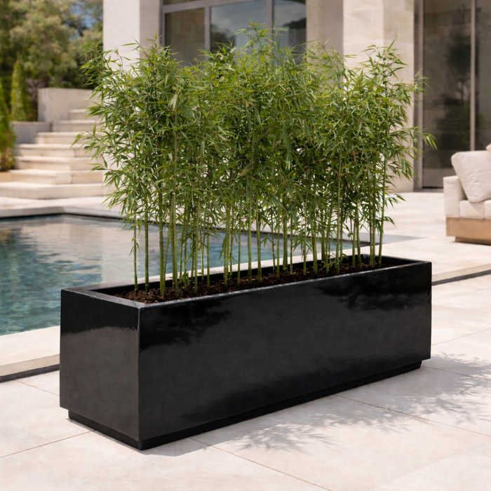 Planter Pot