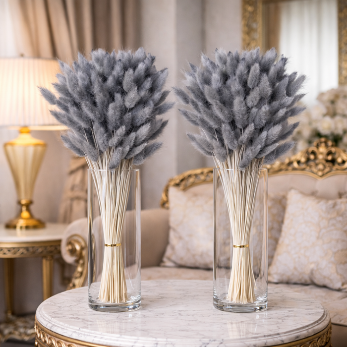 Natural Dried Bunny Tail Grass