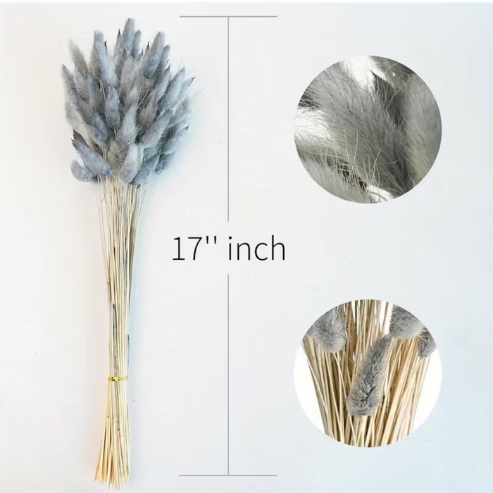 Natural Dried Bunny Tail Grass