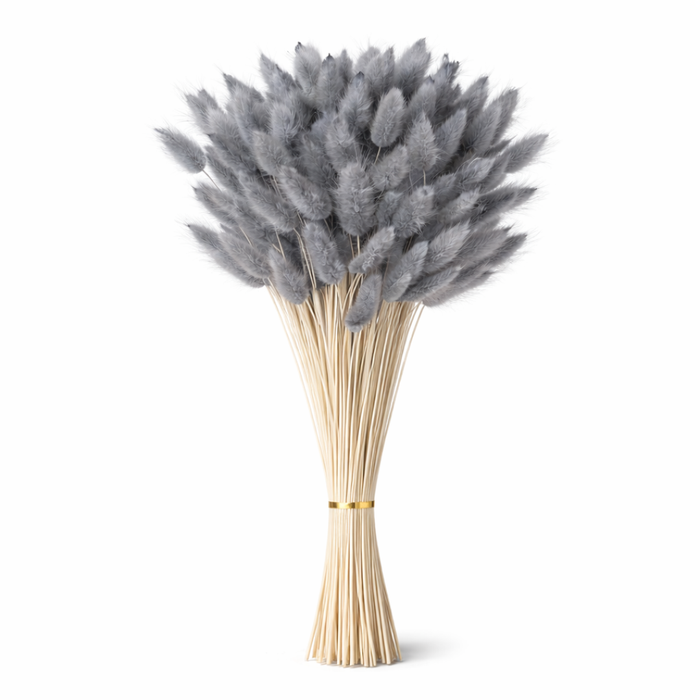 Natural Dried Bunny Tail Grass