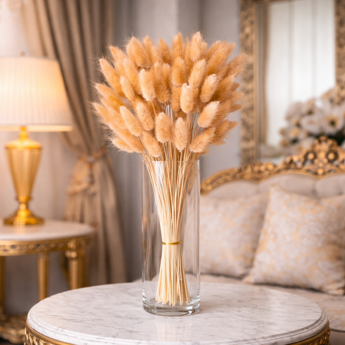 Natural Dried Bunny Tail Grass