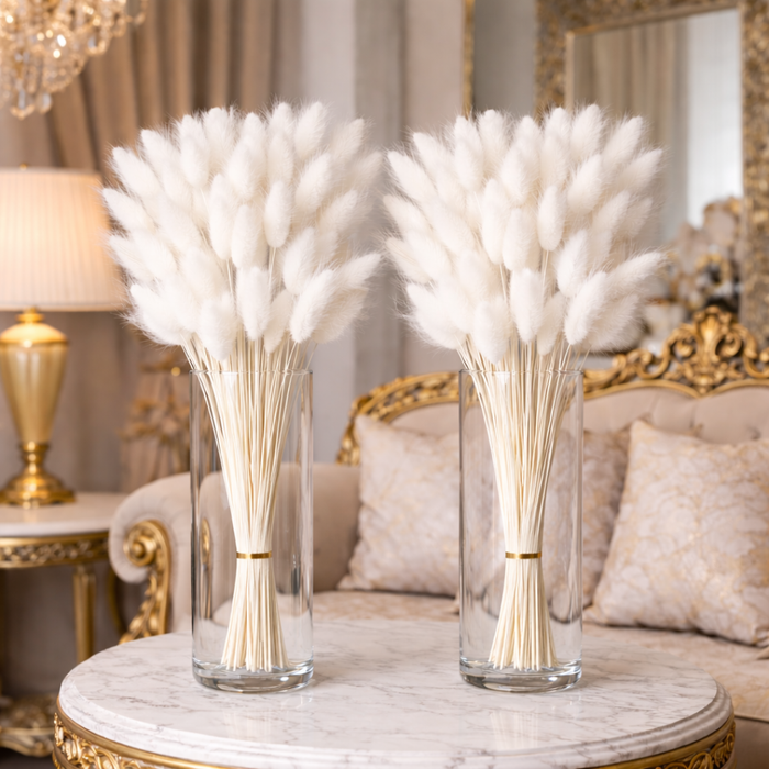 Natural Dried Bunny Tail Grass