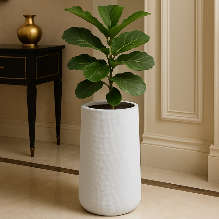 Pots & Planters