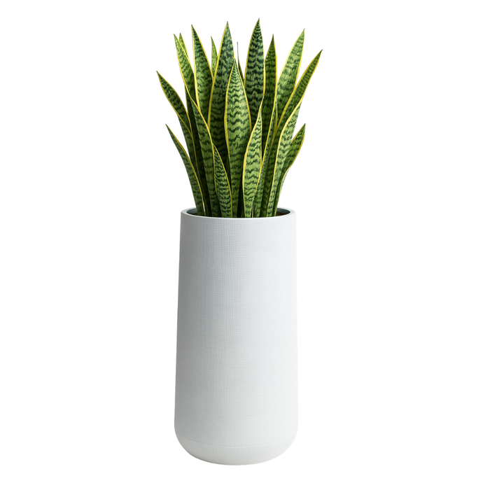 Pots & Planters