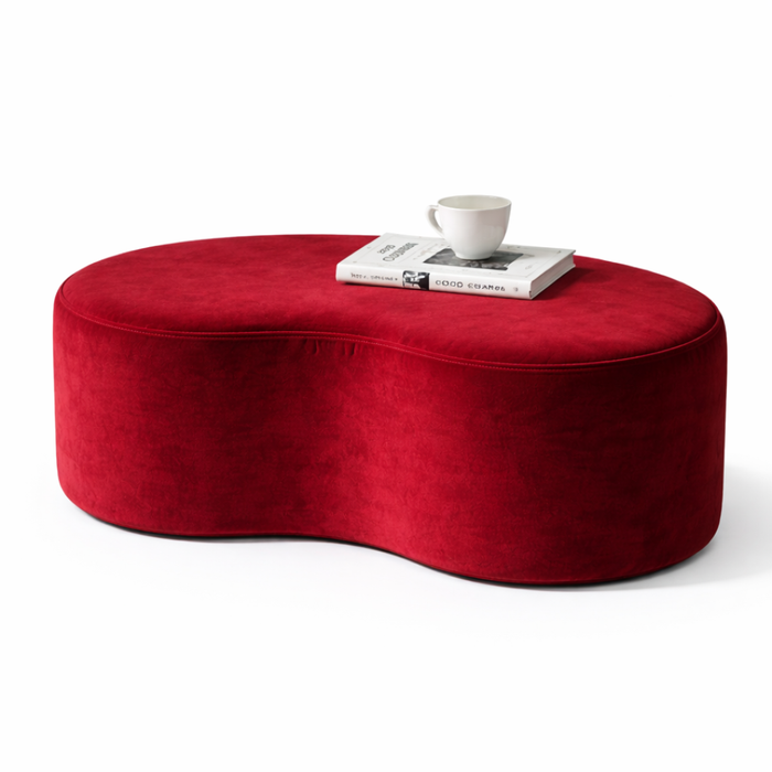 Shoe Changing Stool Bench Ottoman