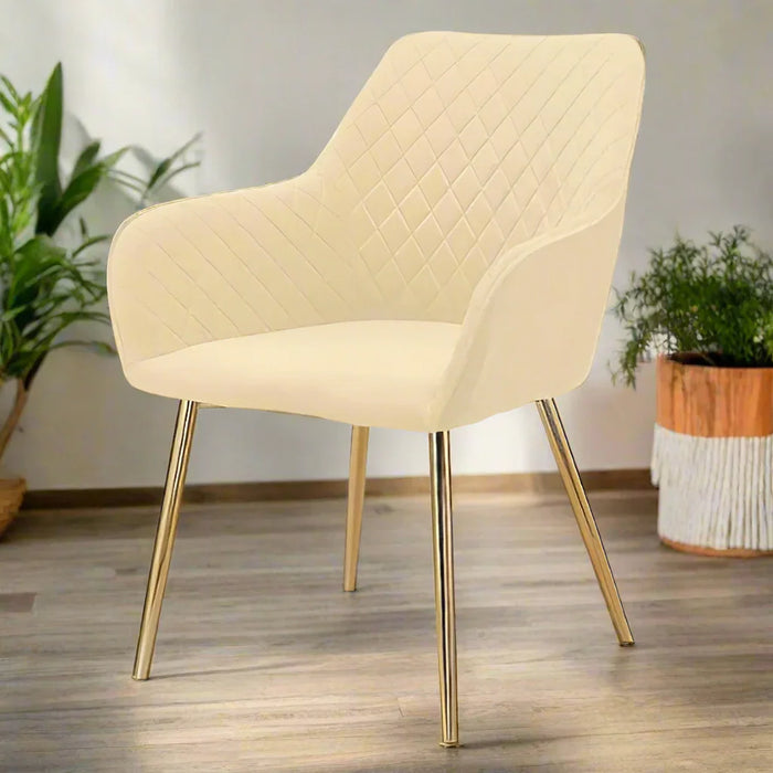 Modern cafe dining chair