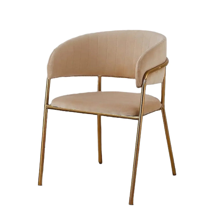Modern Cafe Dining Chair