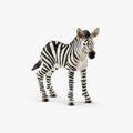Zebra Foal Safari Animal Toy